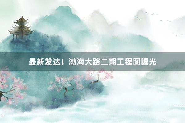 最新发达！渤海大路二期工程图曝光