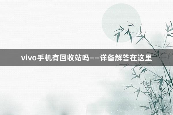 vivo手机有回收站吗——详备解答在这里